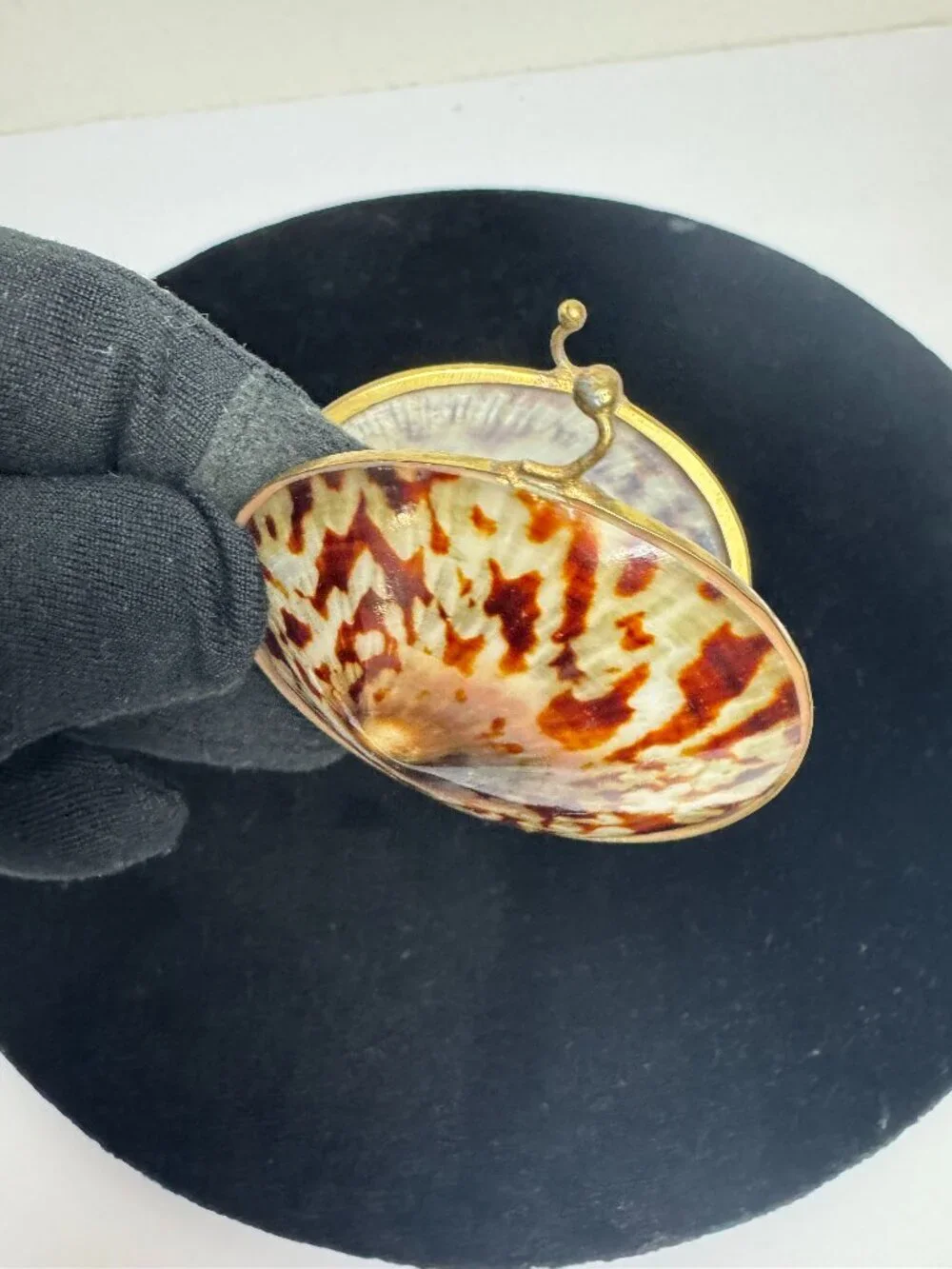 Shell trinket box with brass rim